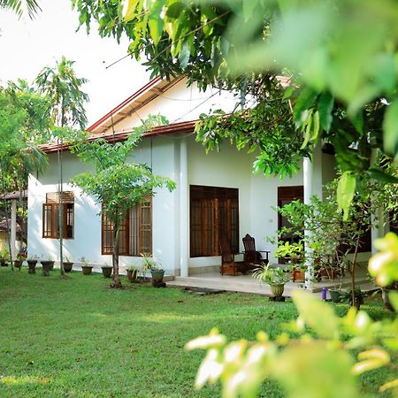 Serene Home Stay ウダワラウェ エクステリア 写真